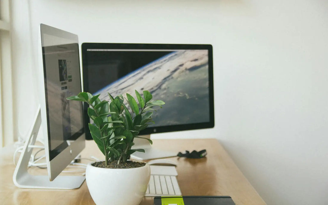 Shopify Partner : pourquoi et comment le devenir ?