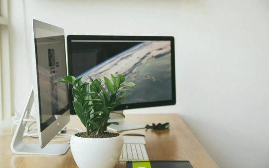 Shopify Partner : pourquoi et comment le devenir ?