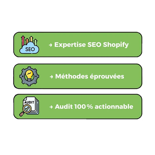 audit seo pour shopify