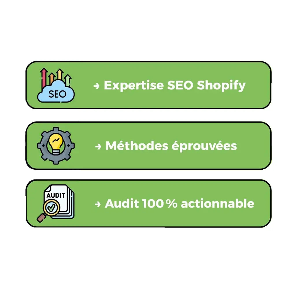 audit seo pour shopify